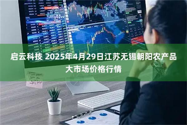启云科技 2025年4月29日江苏无锡朝阳农产品大市场价格行情
