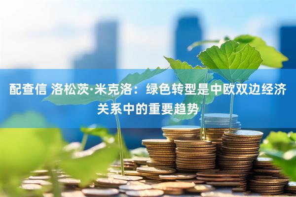 配查信 洛松茨·米克洛:绿色转型是中欧双边经济关系中的重要趋势