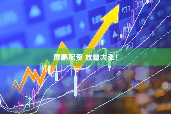 展鹏配资 放量大涨！